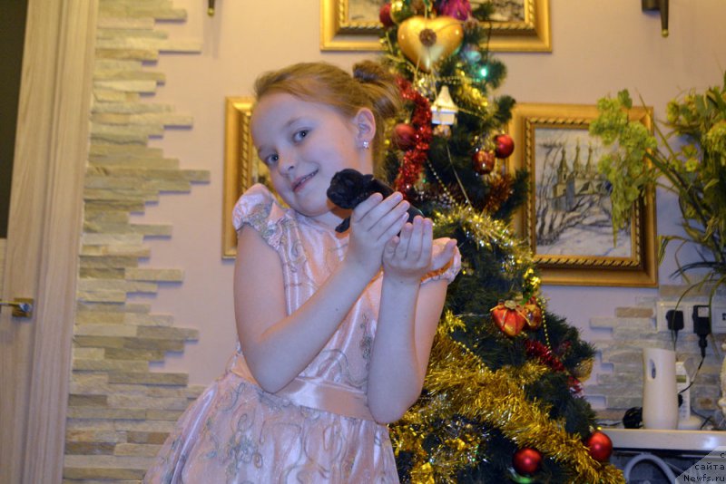 Фотография № 199078