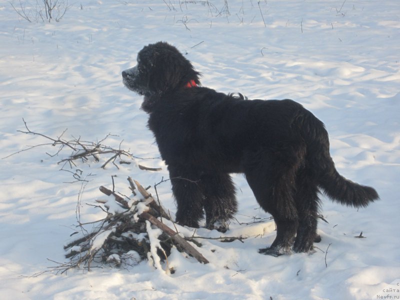 Фото: Natal'ya Smazchikova (Наталья Смазчикова)