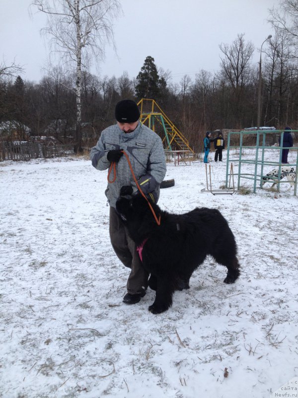 Фото: Александр и 