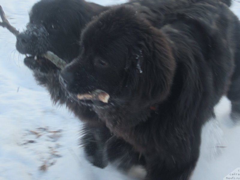 Фото: Natal'ya Smazchikova (Наталья Смазчикова)