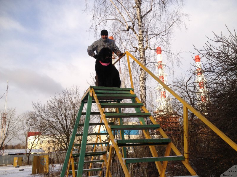 Фотография № 199092