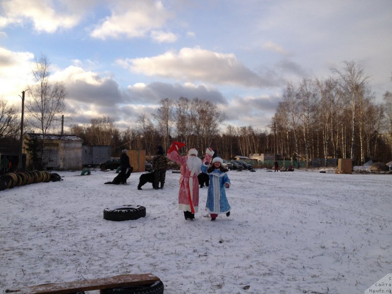 Фотография № 199093