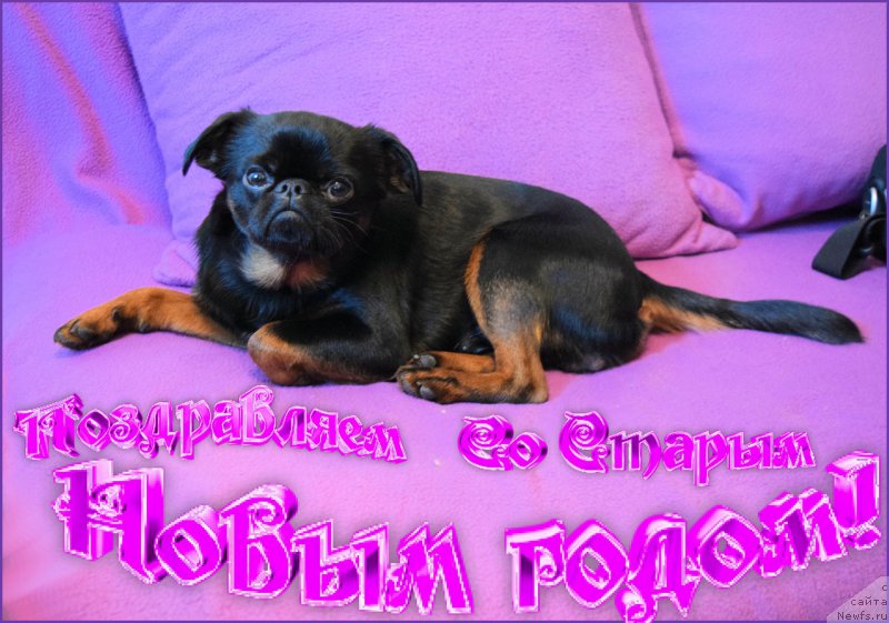 Фото: Elena SHmeleva (Елена Шмелева)