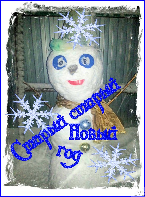 Фотография № 199100