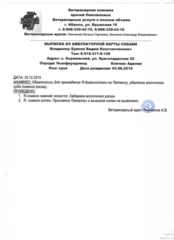 Фото: Natal'ya Smazchikova (Наталья Смазчикова)