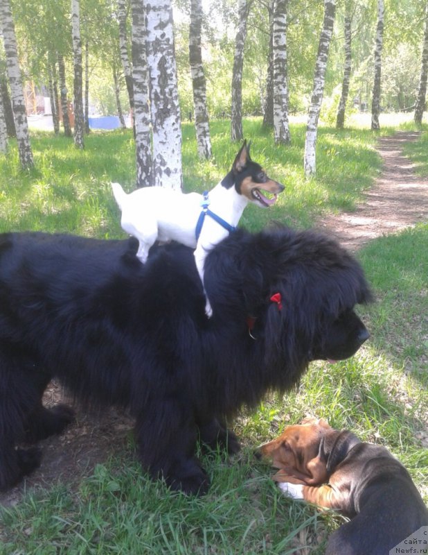 Фотография № 199161