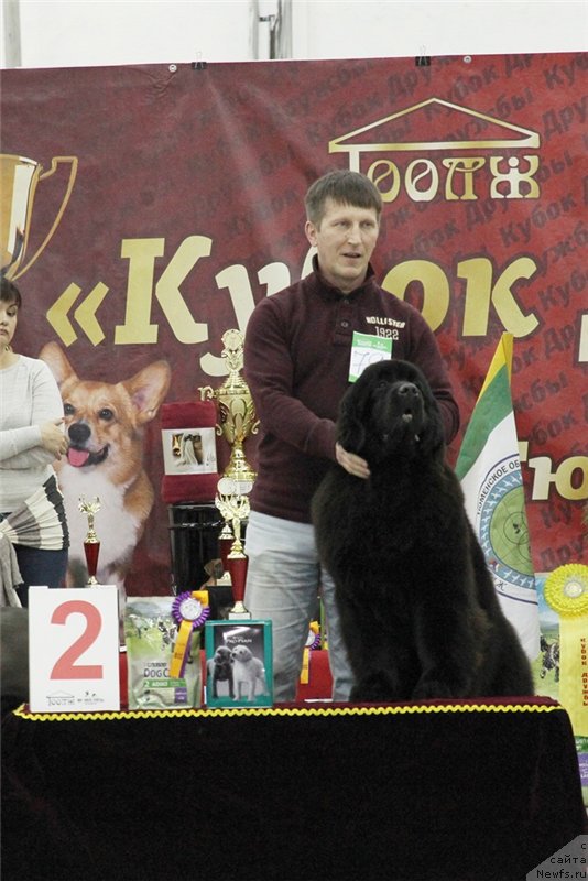 Фотография № 199219