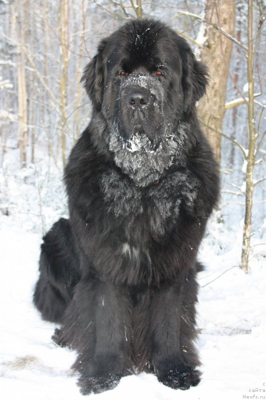 Фотография № 199222