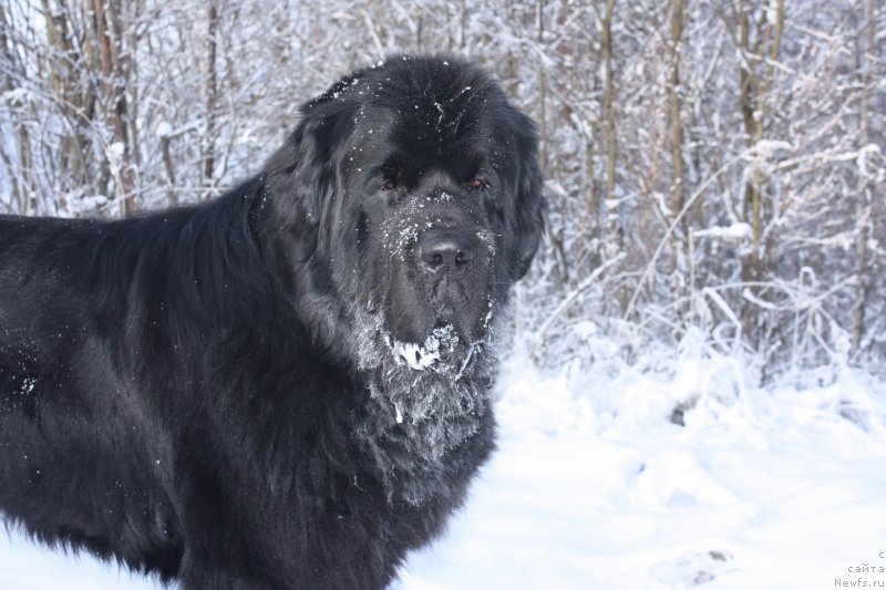 Фотография № 199223