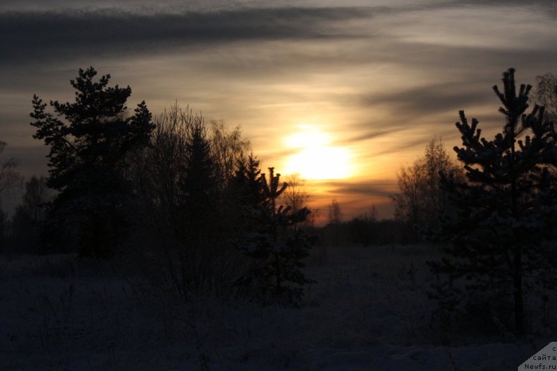 Фотография № 199225