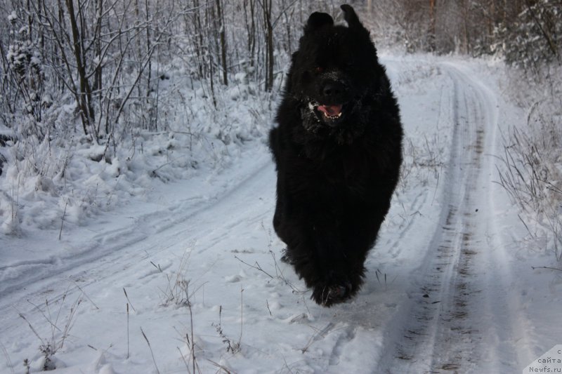 Фотография № 199226