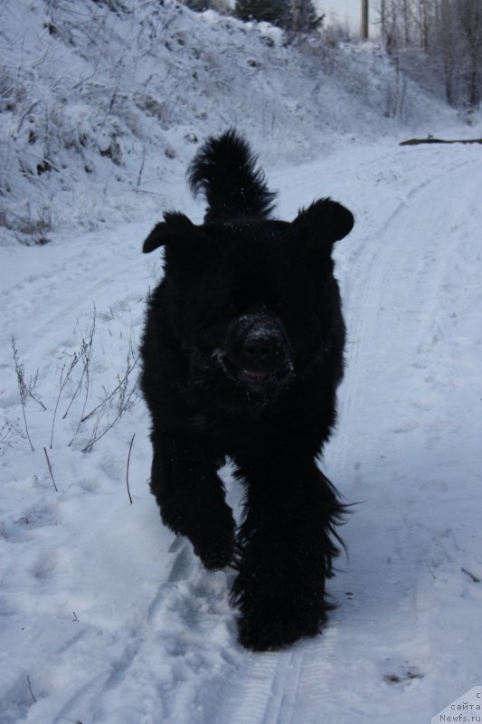 Фотография № 199228