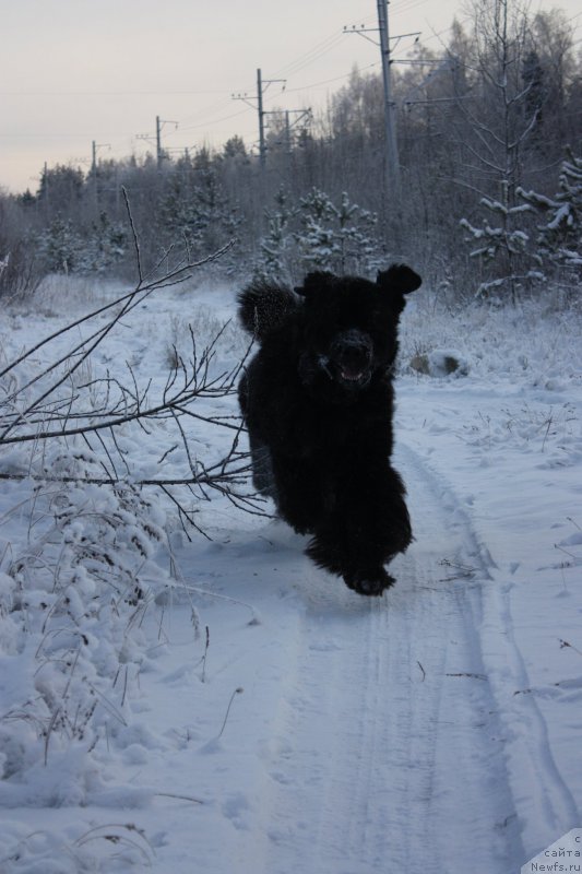 Фотография № 199237