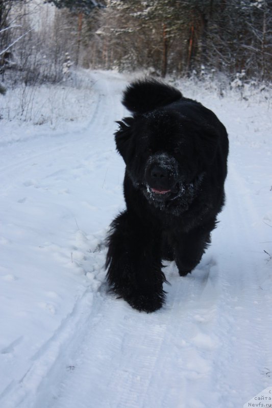 Фотография № 199238