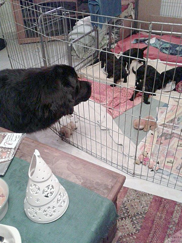 Фотография № 199253