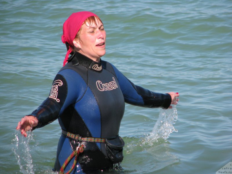 Фотография № 199343