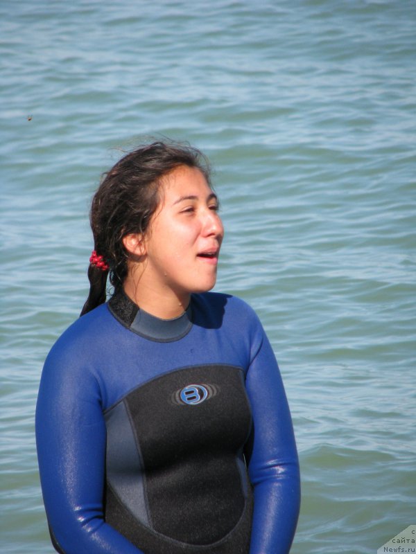 Фотография № 199344