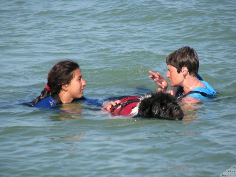 Фотография № 199346