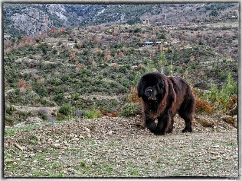 Фотография № 199357