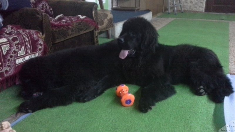 Фото: Natal'ya Smazchikova (Наталья Смазчикова)