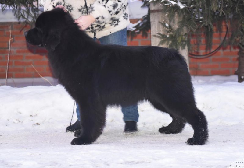 Фотография № 199372