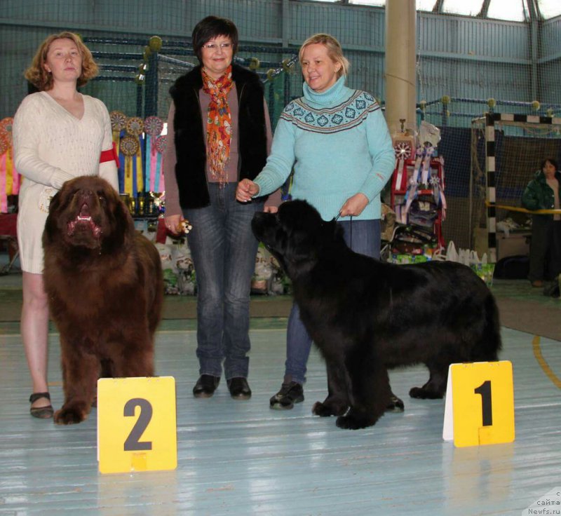 Фотография № 199430