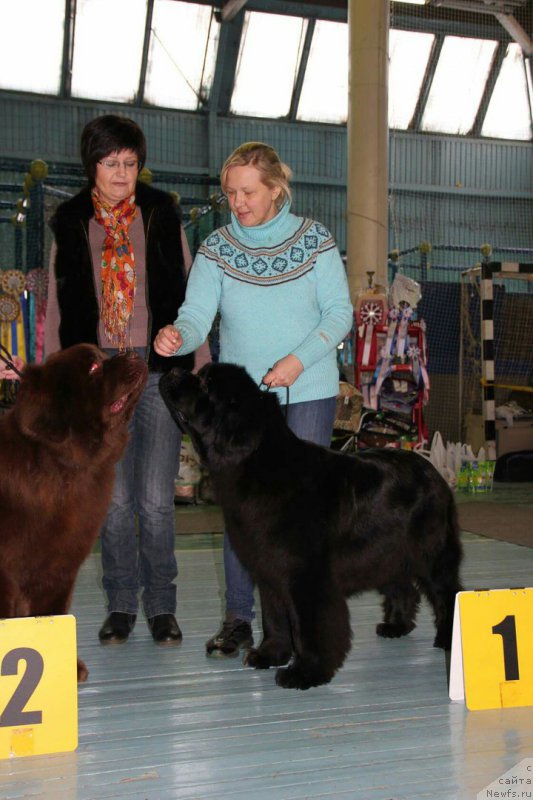 Фотография № 199433