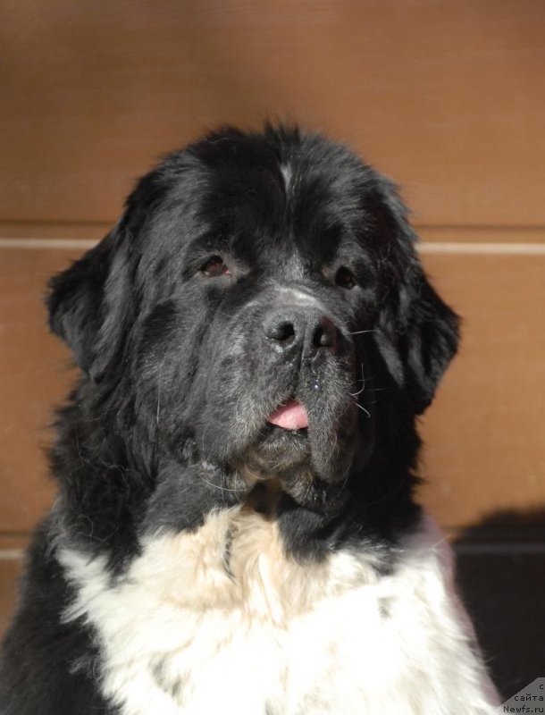 Фотография № 199437