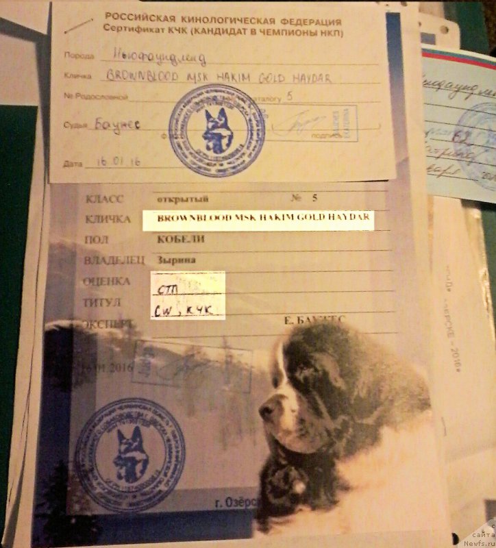 Фотография № 199448