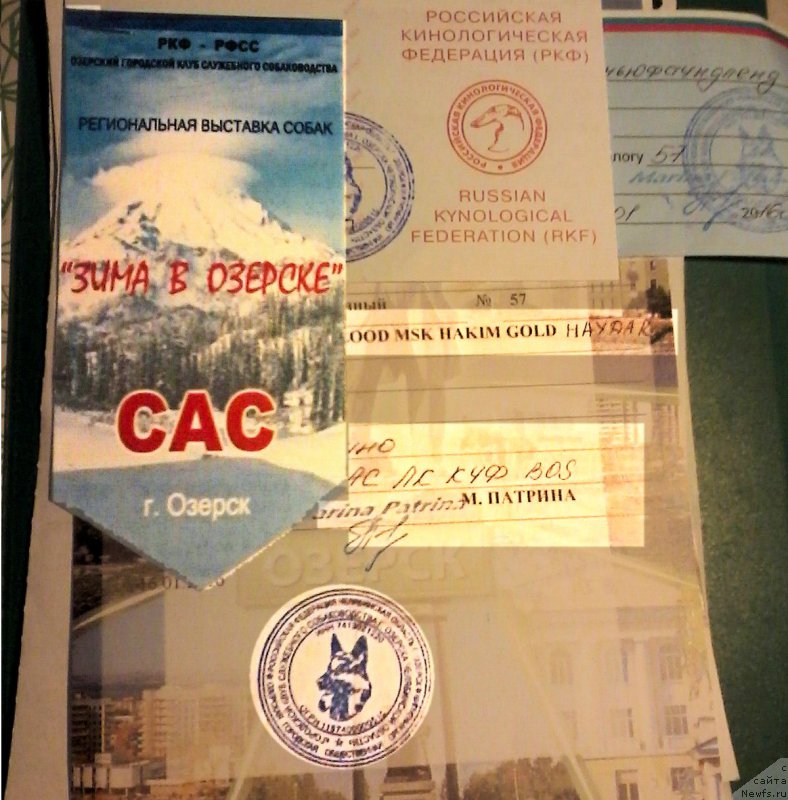 Фотография № 199450