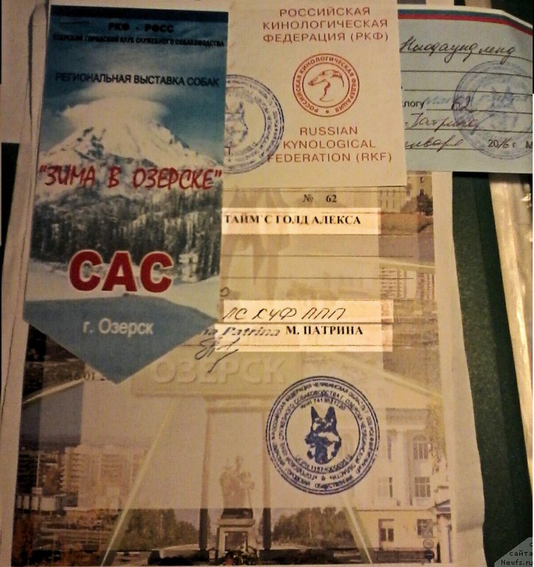 Фотография № 199454