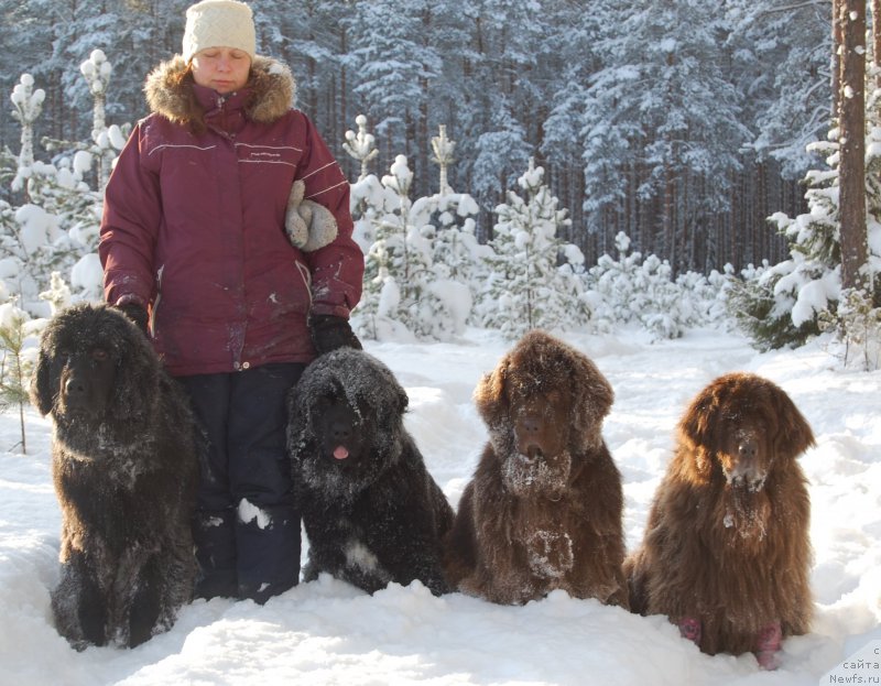 Фотография № 199477