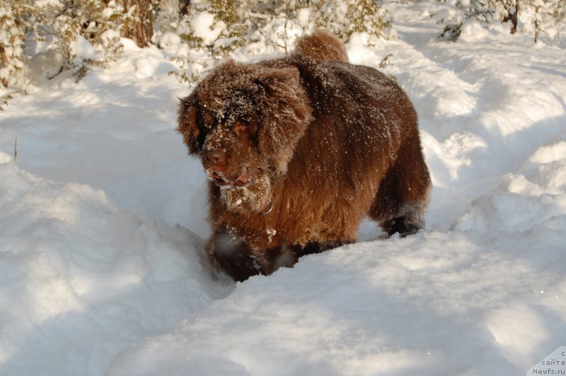 Фотография № 199479