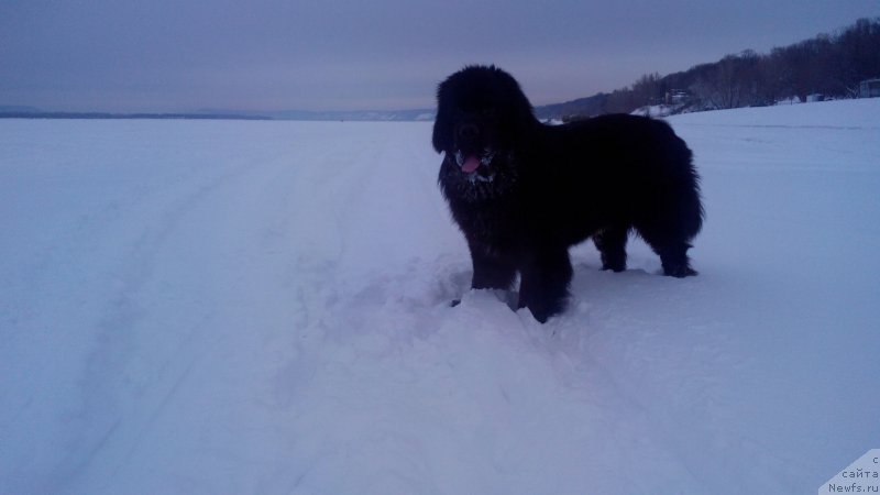 Фотография № 199481