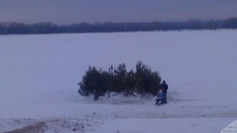 Фотография № 199485