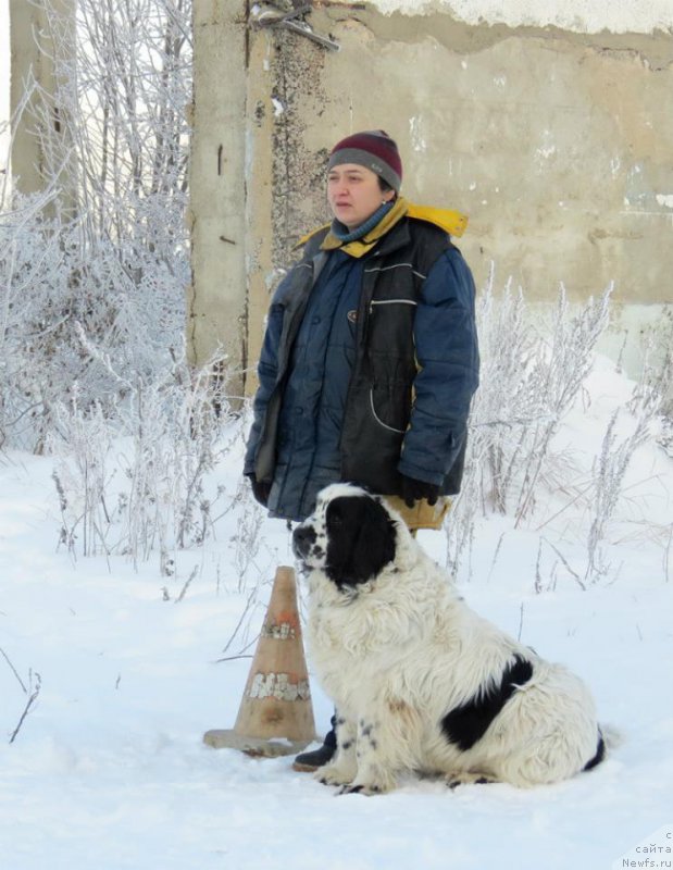 Фотография № 199488