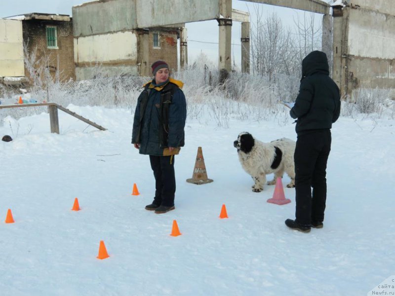 Фотография № 199489