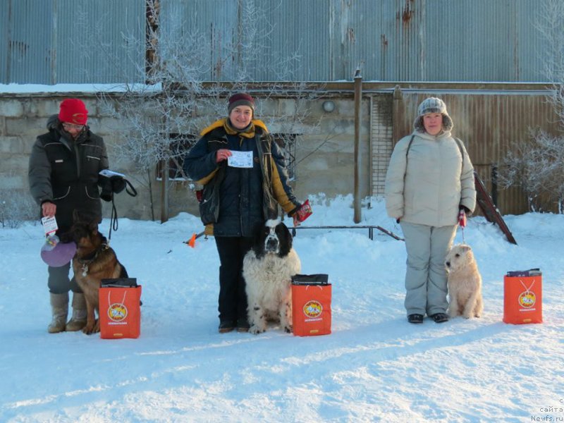 Фотография № 199493