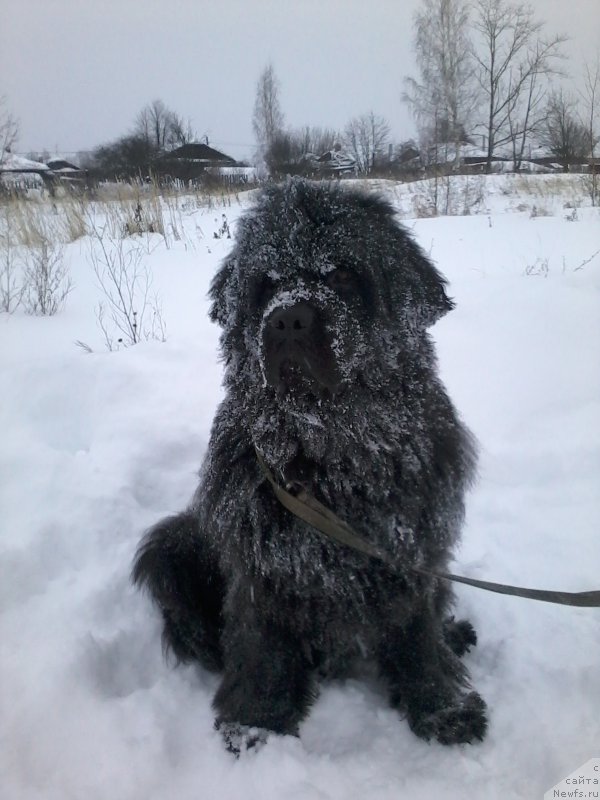 Фотография № 199497