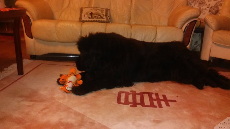 Фотография № 199512