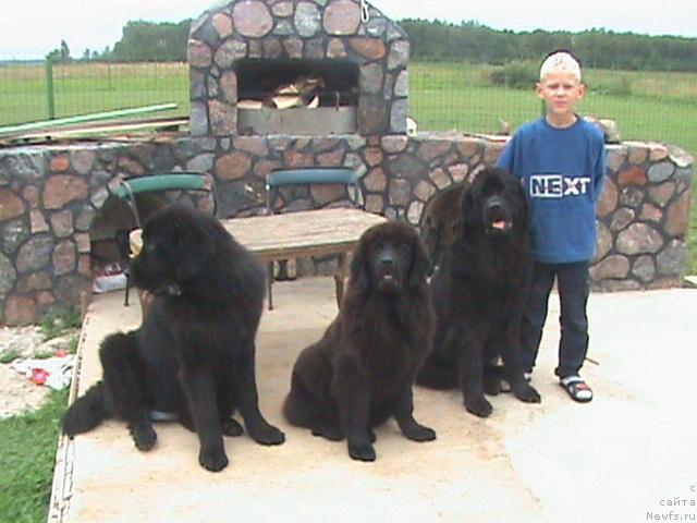 Фото: Rasa YAankunienya (Раса Яанкуниеня)