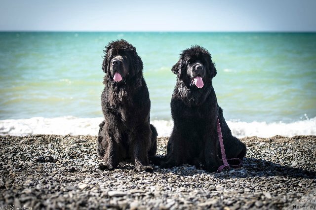 Фотография № 199538