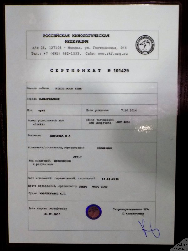 Фотография № 199548