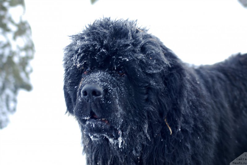 Фотография № 199556