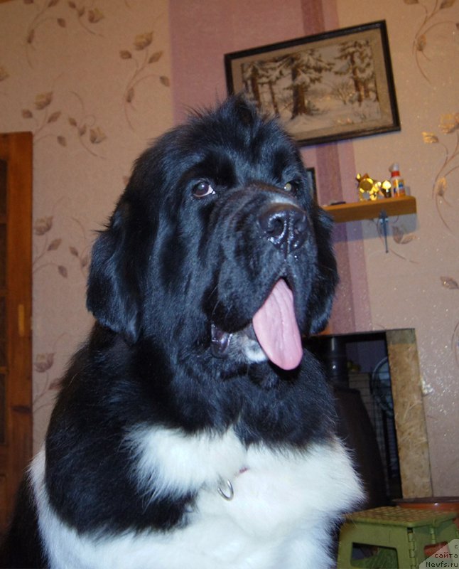 Фотография № 199567