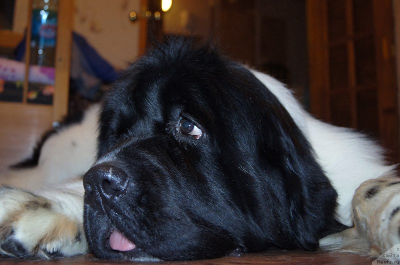 Фотография № 199571