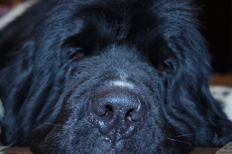 Фотография № 199572