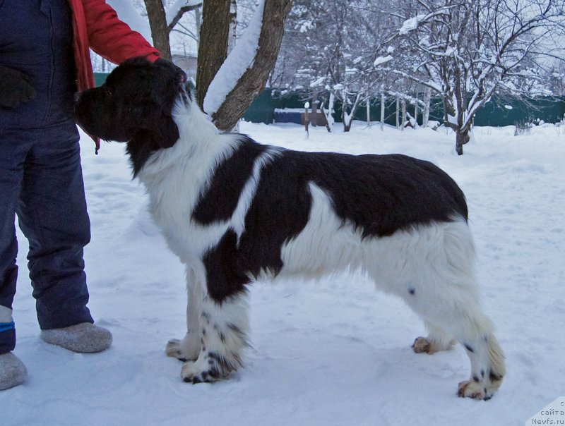 Фотография № 199574