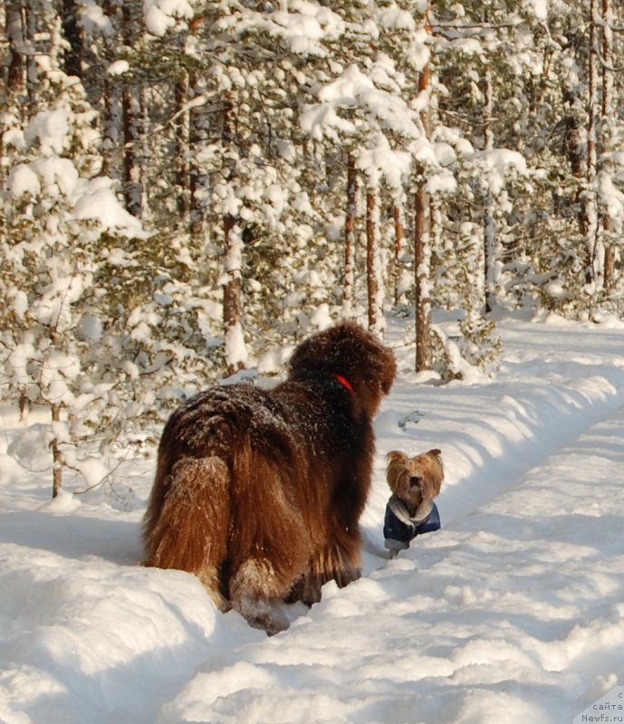 Фотография № 199606