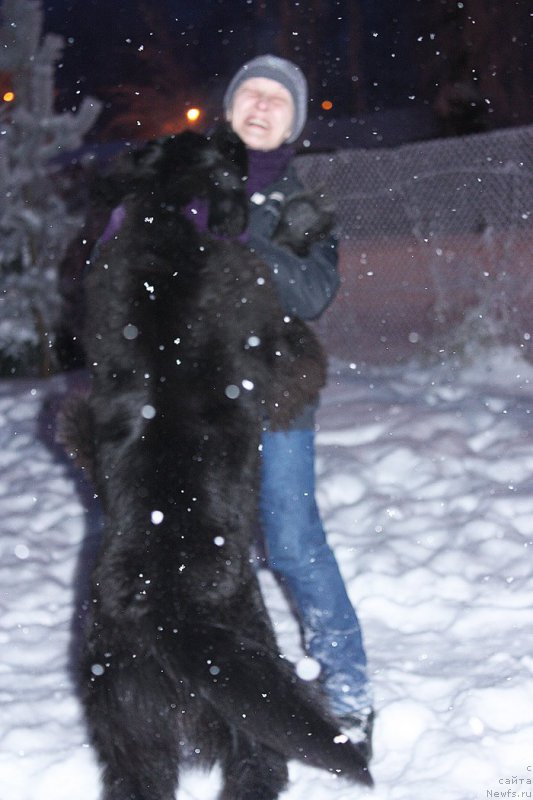 Фотография № 199615